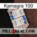 Kamagra 100 kamagra1